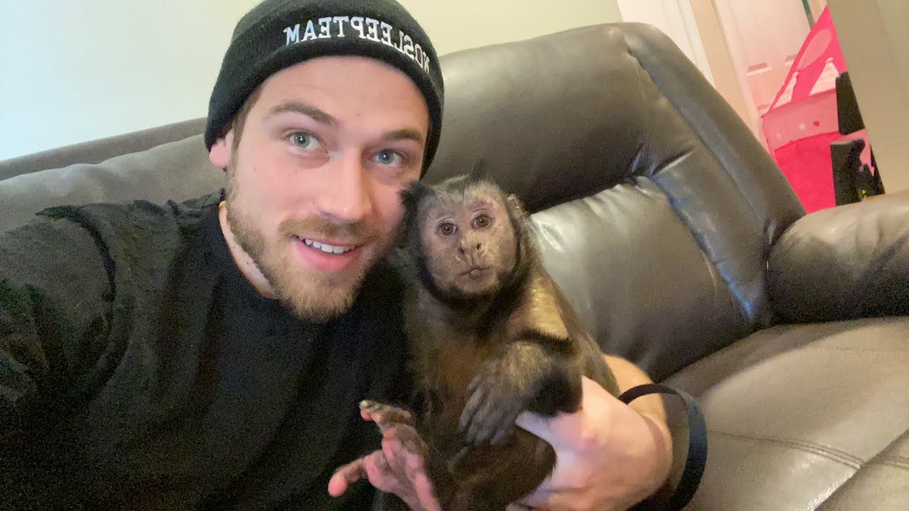 MonkeyBoo Play Time! LIVE STREAM! #FridayFun