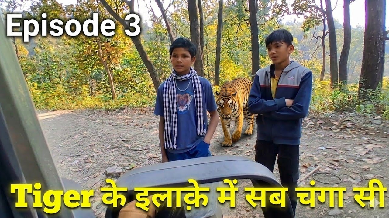 Episode 3_झूठे कैमरे और सच्चे ये किशोर I forest village की नई सुबह I Tiger territory I  Corbett/