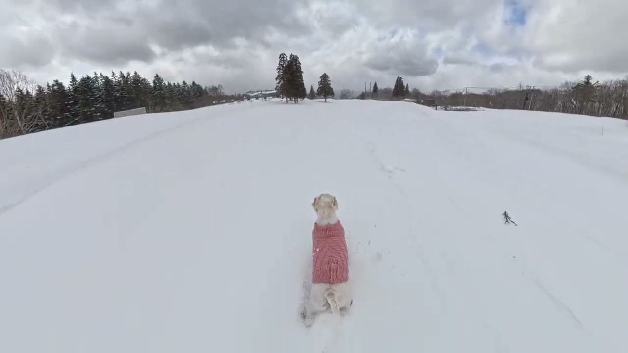 ​Run Away in March