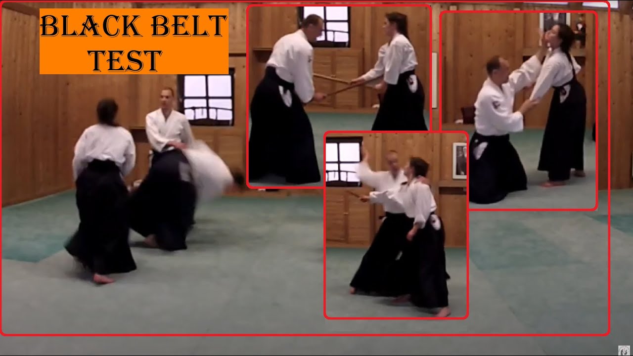 Sandan (3. Dan) Black Belt Test Aikido - Auditor Toshiro Suga Shihan and Pierre Congard