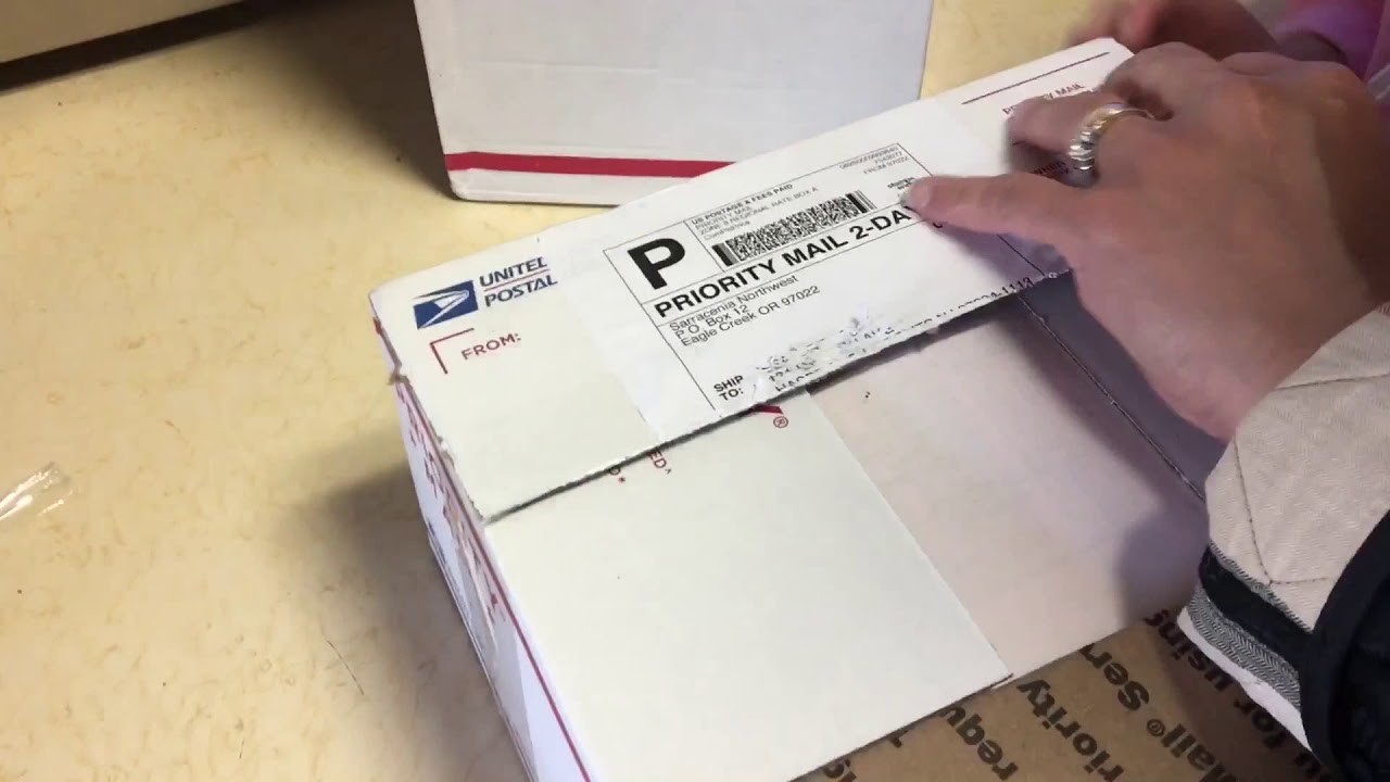 Carnivorous plant unboxing from Flytrapstore and Sarracenia Northwest