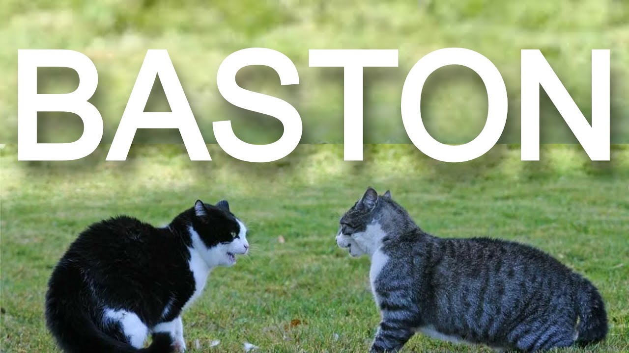 BASTON 2
