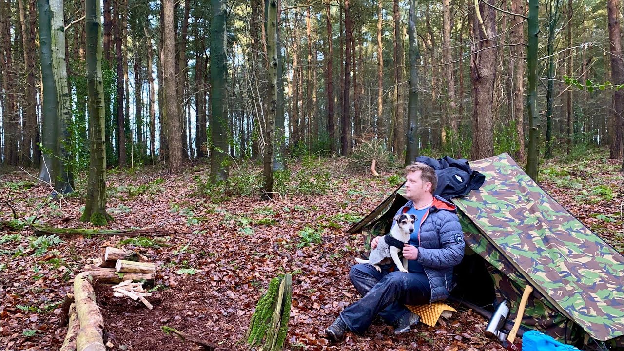 First camp in my car, Dutch army tent and the dog in the woods.