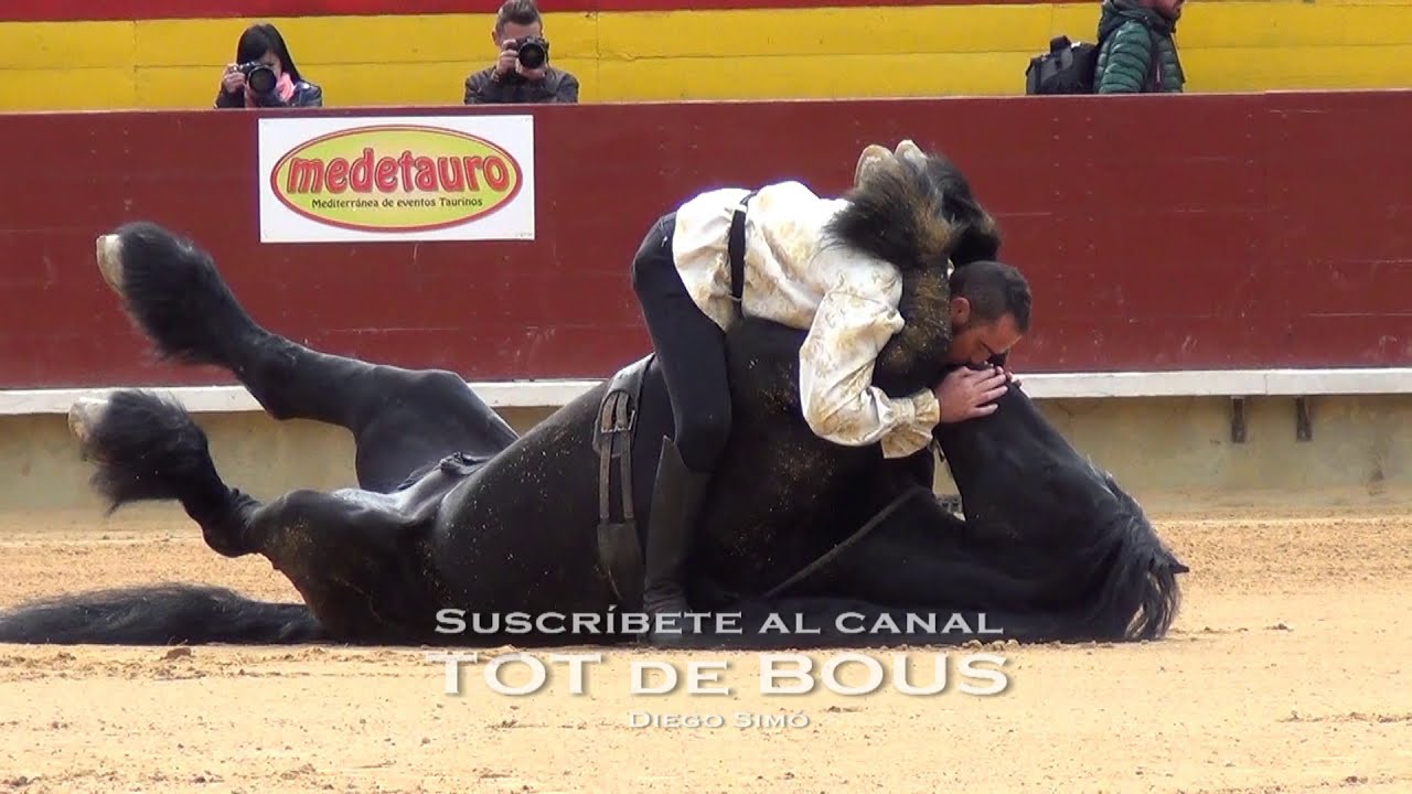 11/03/2018 - Espectáculo de caballo - Magdalena - Castellón  - Caballos en libertad . . . ! ! !