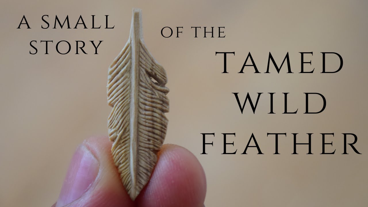 How this feather helped me to create – Cozy wood carving session #0