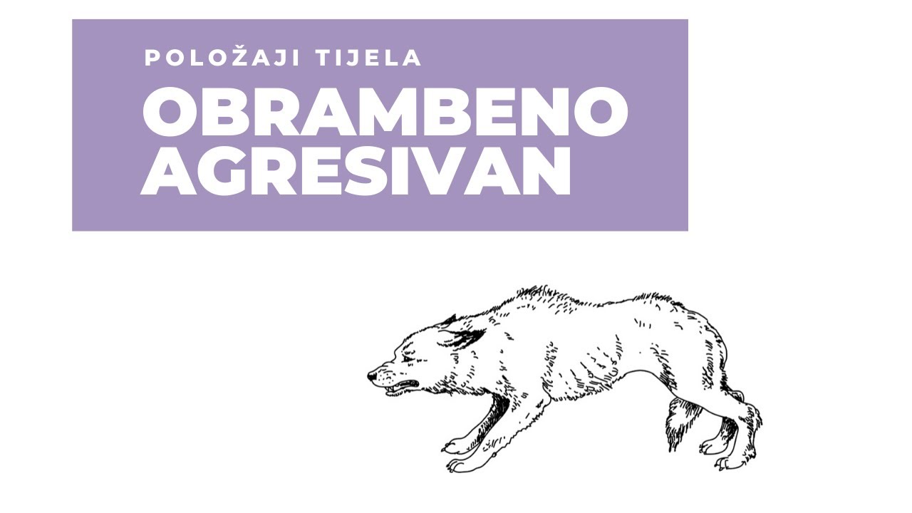 Položaji tijela: obrambeno agresivan
