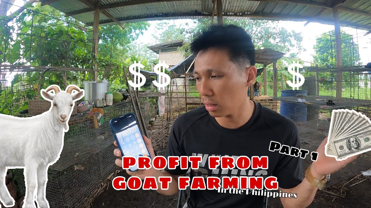 Profit from goat farming part 1 #goatfarming #goat #goatinformation #part1