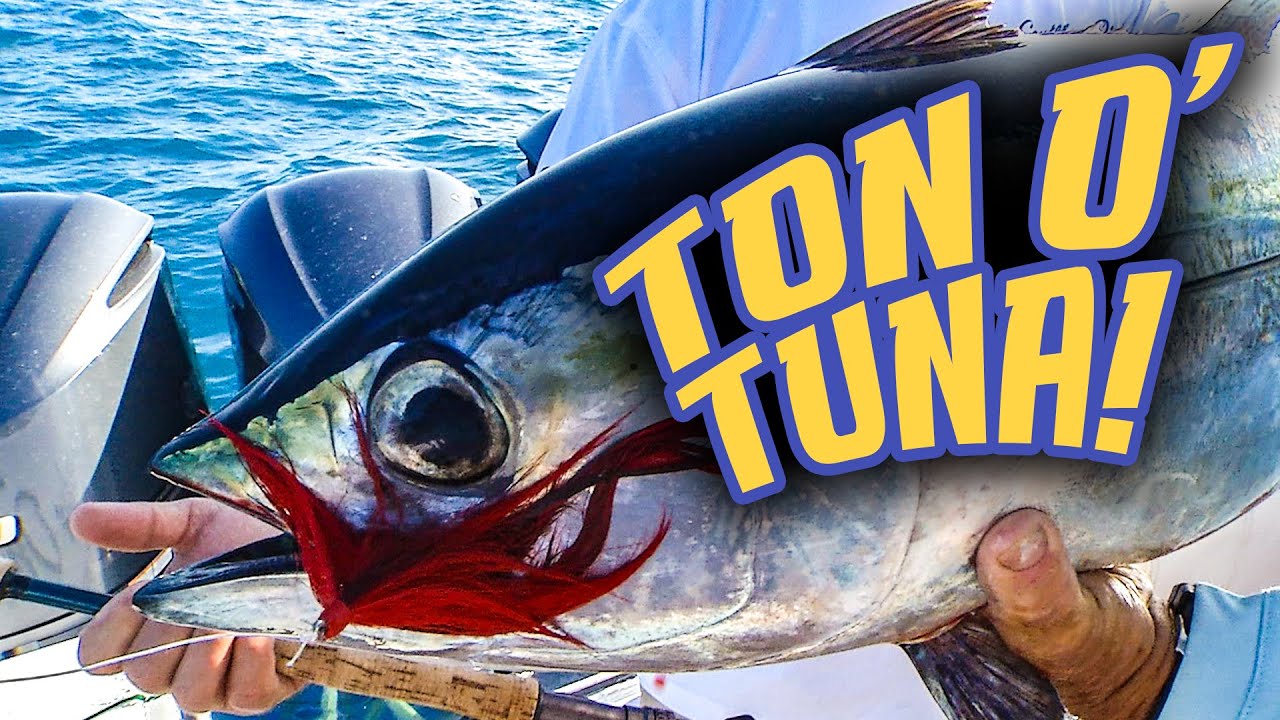 TON O' TUNA!! Check out some of Capt. Rick Murphy's FAVORITE Tuna catches!