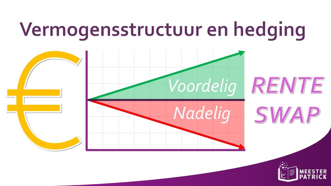 Vermogensstructuur en hedging | Bedrijfseconomie