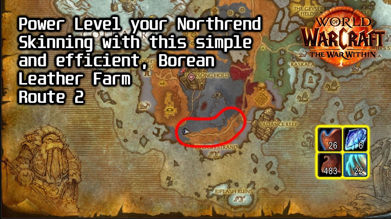 WoW retail - Easy Northrend-Skinning. Borean Leather farm.
