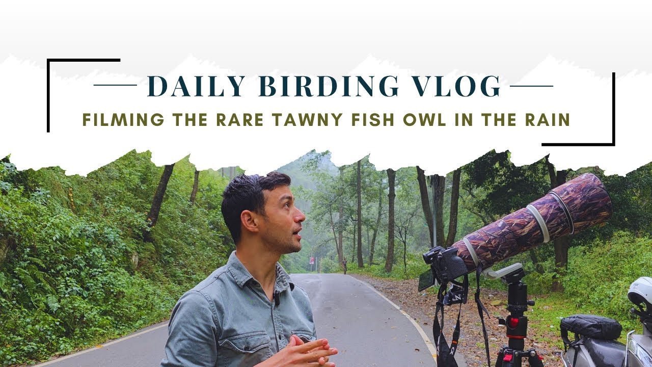 Filming a Rare Tawny Fish Owl in the Rain | Chaffi, Uttarakhand, Birding | Quantum Explorer INC