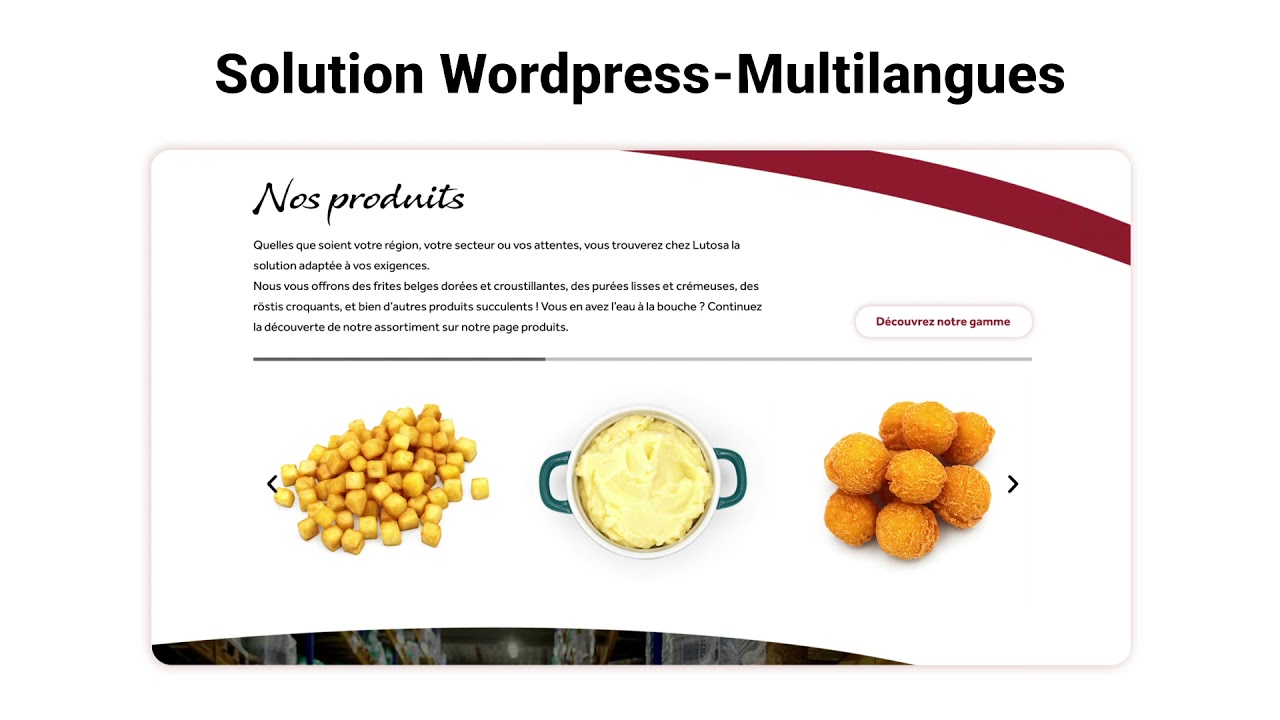 Nouveau site catalogue pour Lutosa, r&eacute;alis&eacute; par Webdigit