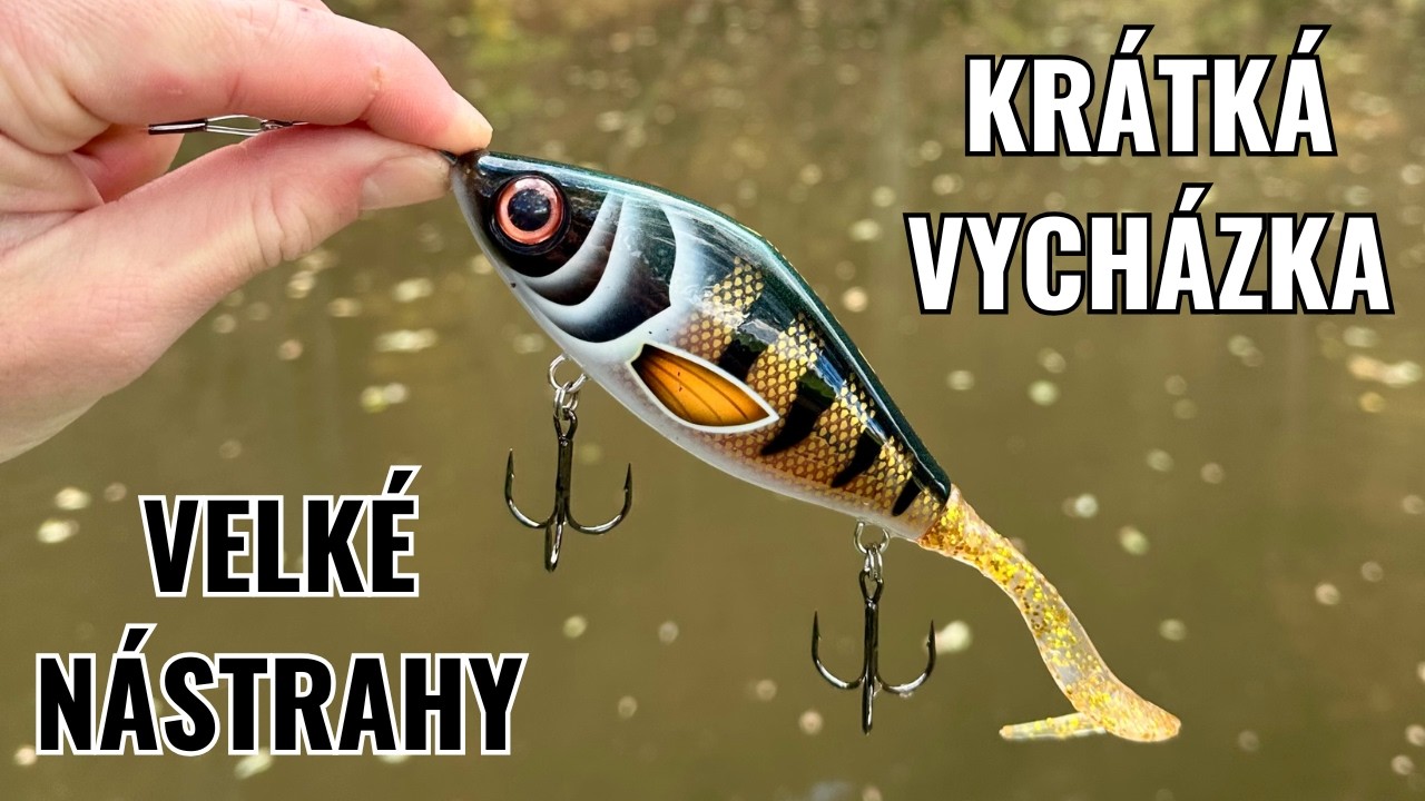 Krátká vycházka po práci? BIGBAIT opět nezklamal!
