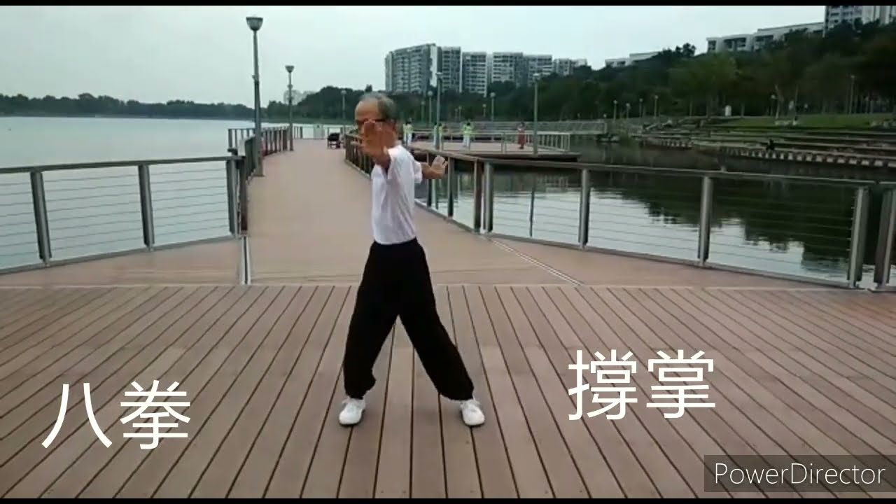 The fundamental exercise of Pak Hok Pai - The Eight Fists. 白鶴派基本功 - 八拳 (務本白鶴陳德伍)