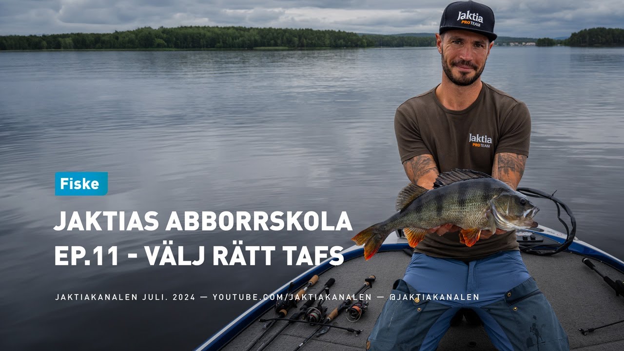 Jaktias abborrskola EP.11 - Välj rätt tafs