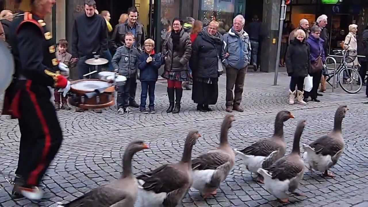 Ganzenfanfare