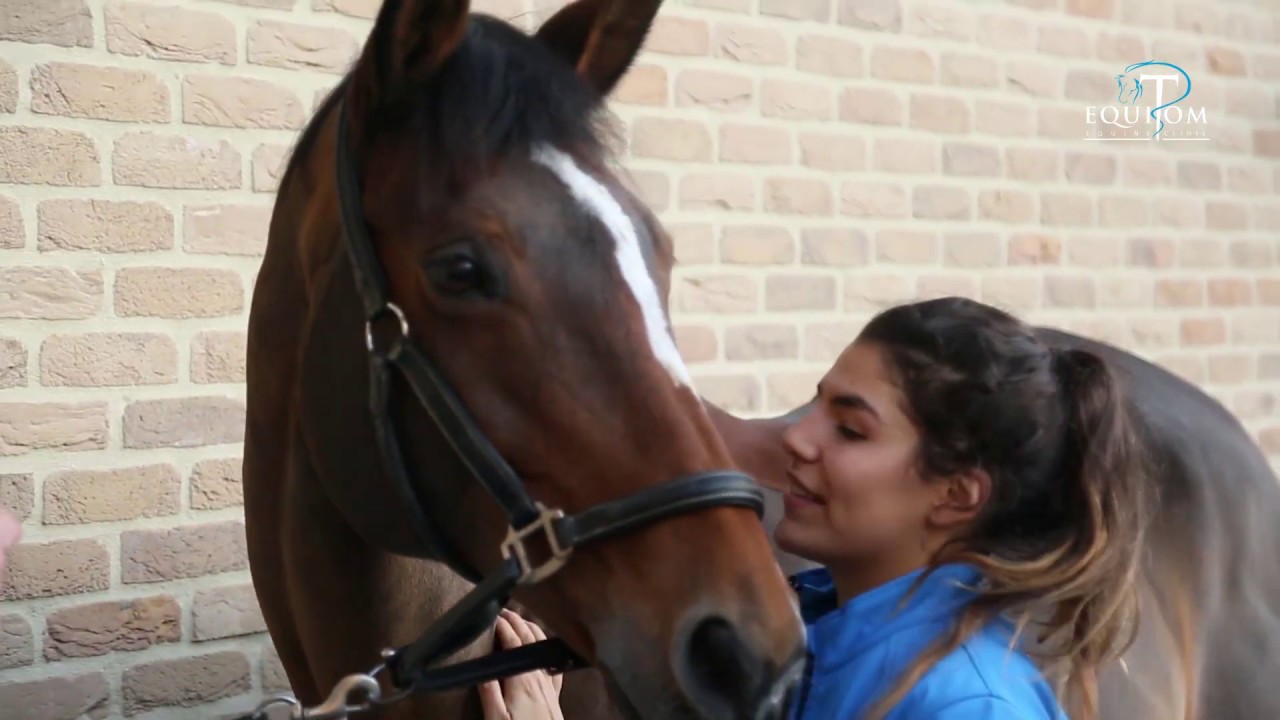BANDAGE DU JARRET CHEZ LE CHEVAL   artiste Aydio, titre Deltitnu final 