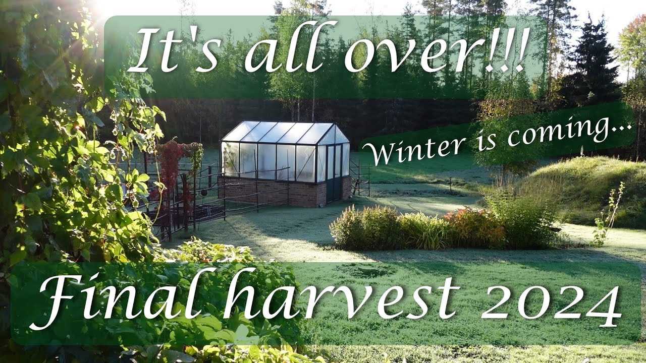 I'M DONE...for this season - Harvesting what's left in the garden before fall