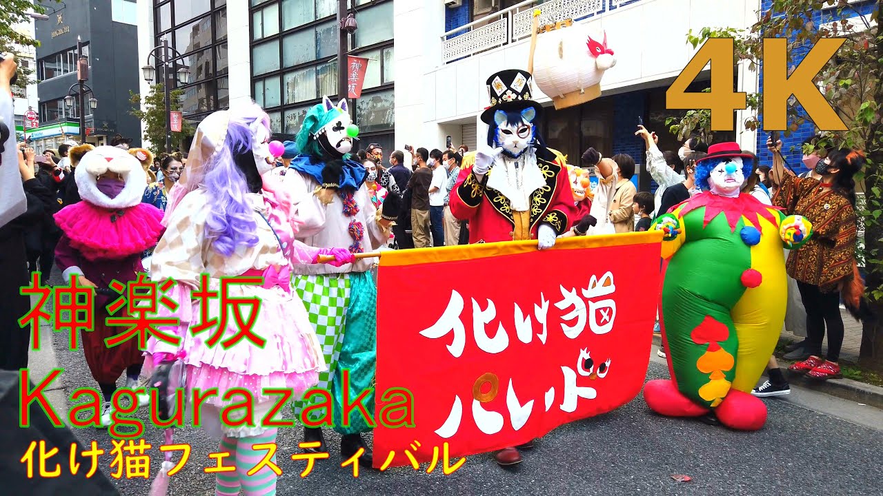 【4k】Kagurazaka Bakeneko Festival💮神楽坂 化け猫フェスティバル2022