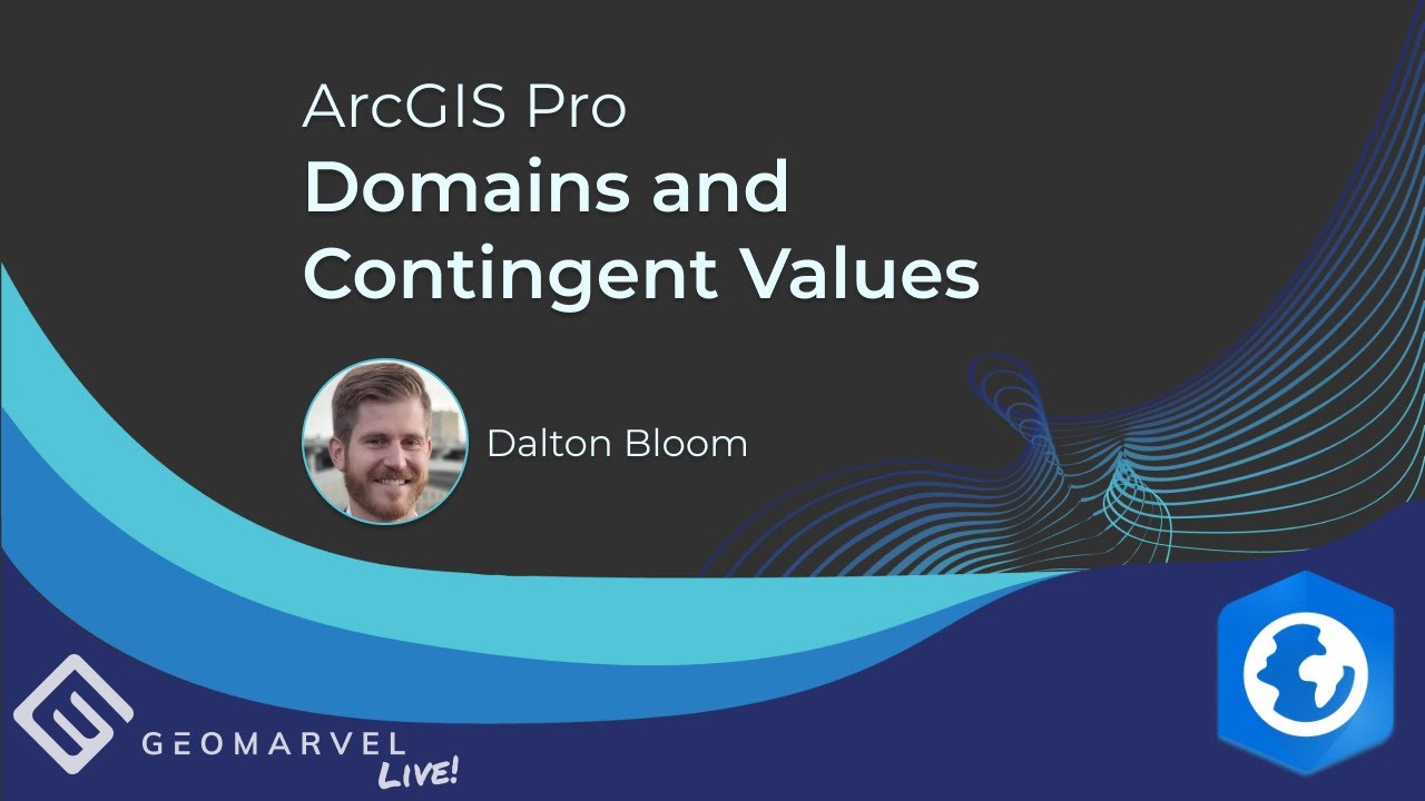 ArcGIS Pro | Domains & Contingent Values