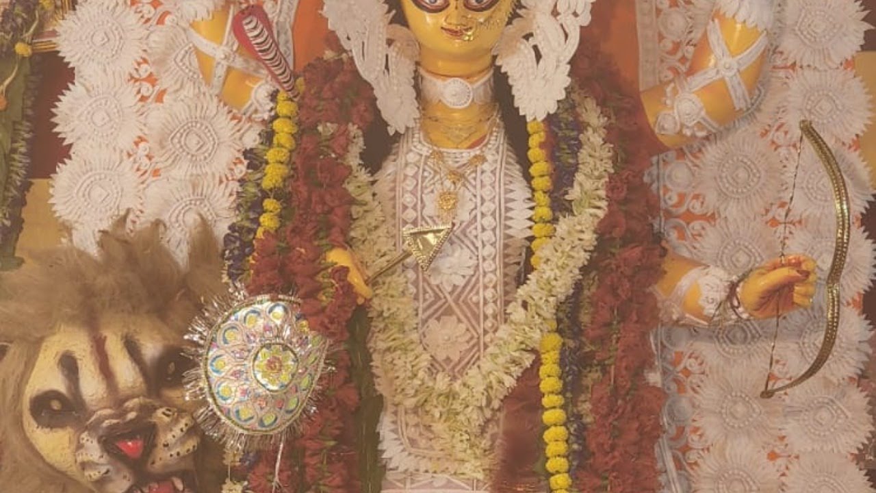abakash jagatdhatri puja bhumi live 2022