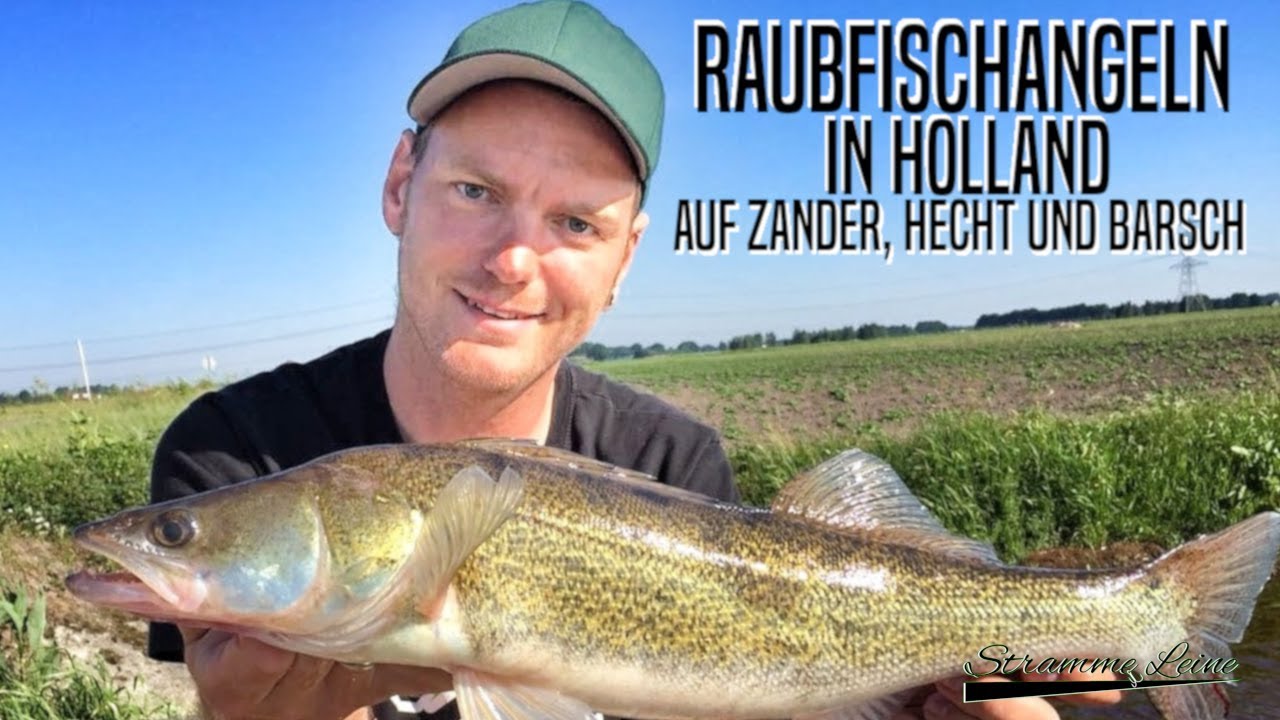 Raubfischangeln in Holland - auf Zander, Hecht und Barsch