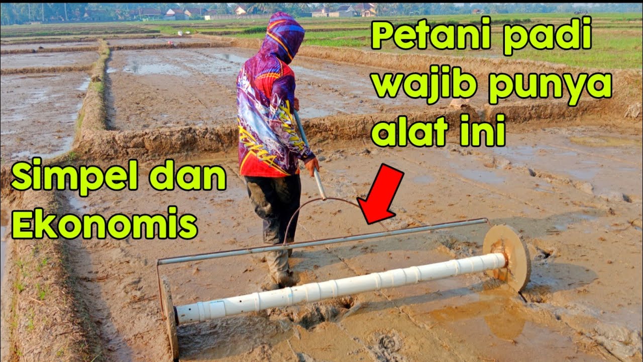 Alat tanam padi moderen ekonomis hemat dikantong silahkan disimak