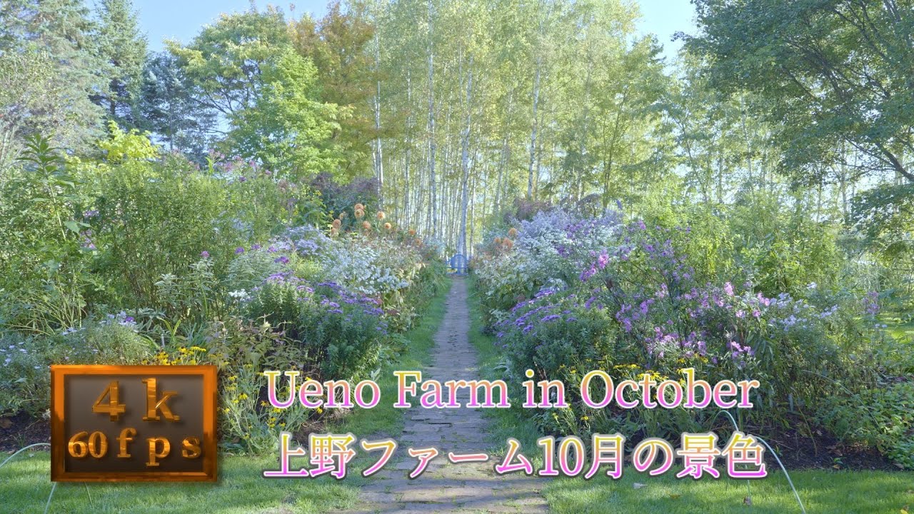 上野ファーム１０月の景色