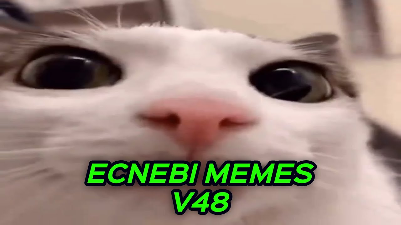 ИНОСТРАННЫЕ МЕМЫ V48