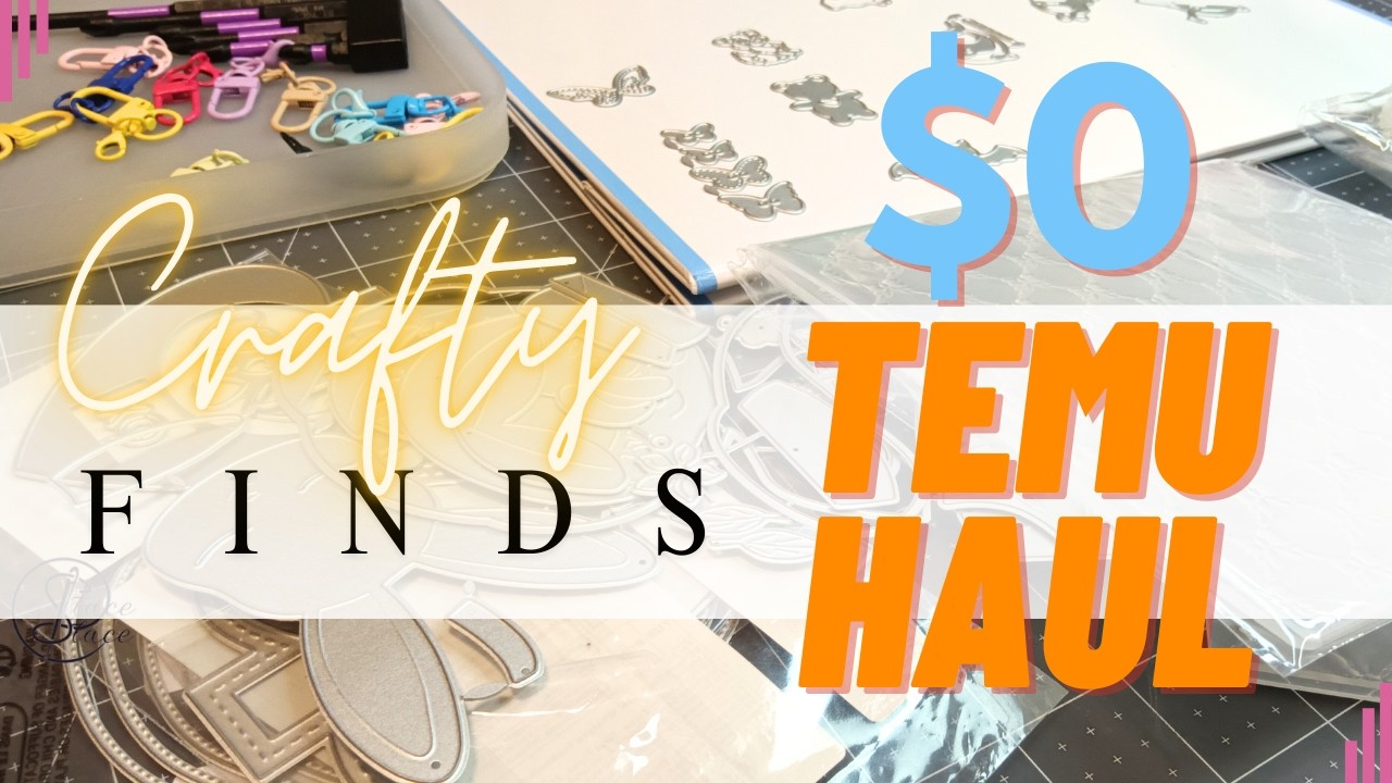 $0 Temu HAUL w/ Links - What I Ordered!