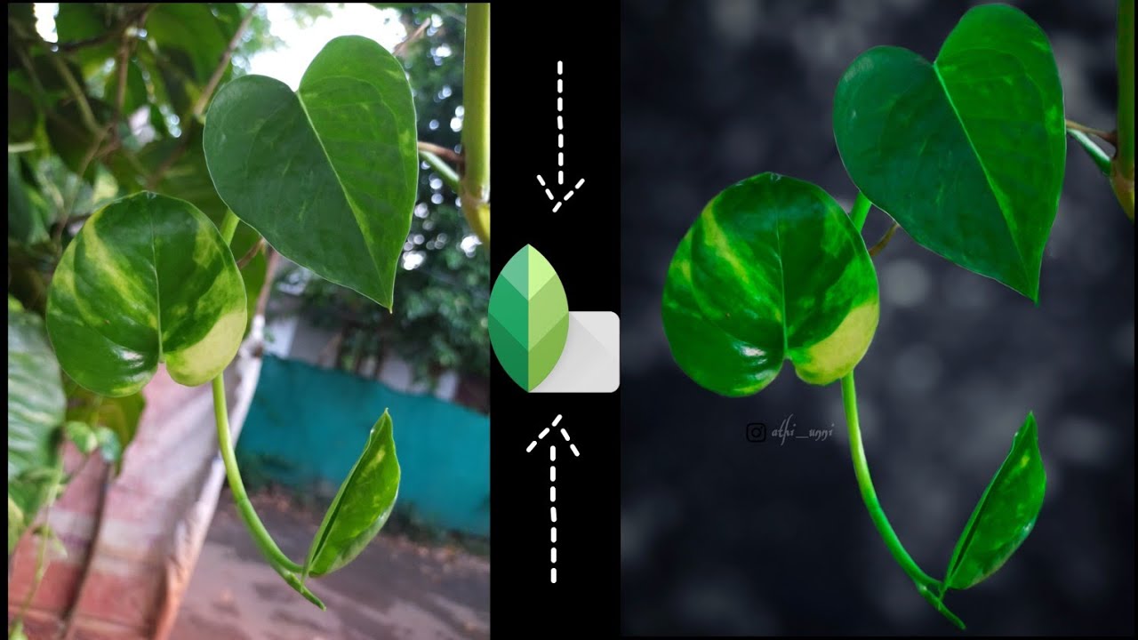 New Snapseed Photo Editing / Snapseed Background Colour Change Tutorial / Double exposure / Athiunni
