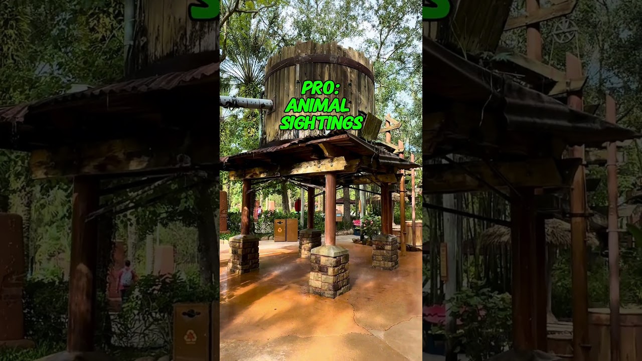 Pros & Cons of Disney's Animal Kingdom Lodge