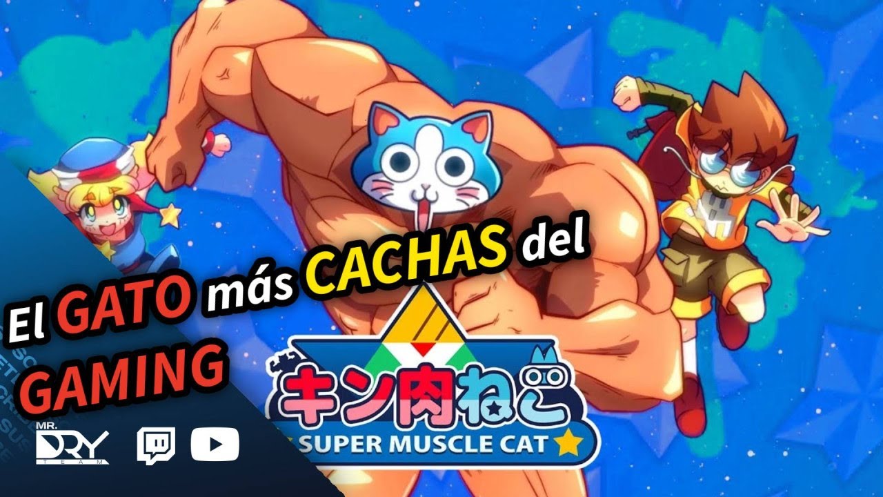 DryCast 2026x08: Entrevista a los creadores de KinnikuNeko: Super Muscle Cat
