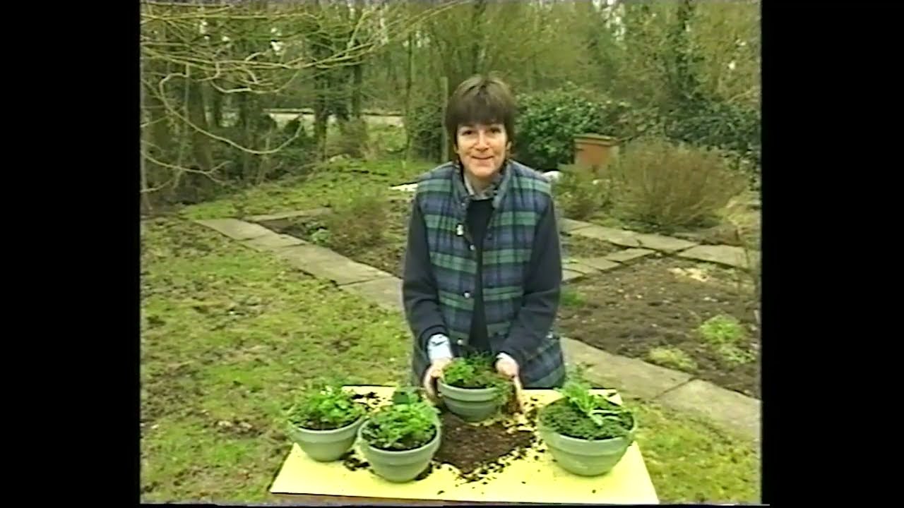 A Practical Guide to Herbs: Growing, Harvesting & Garden Design   VHS