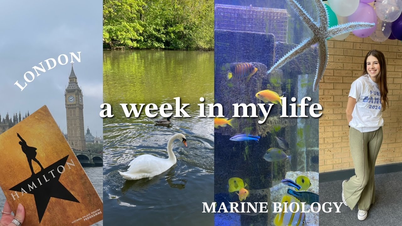A week in my life | marine biology, university & London