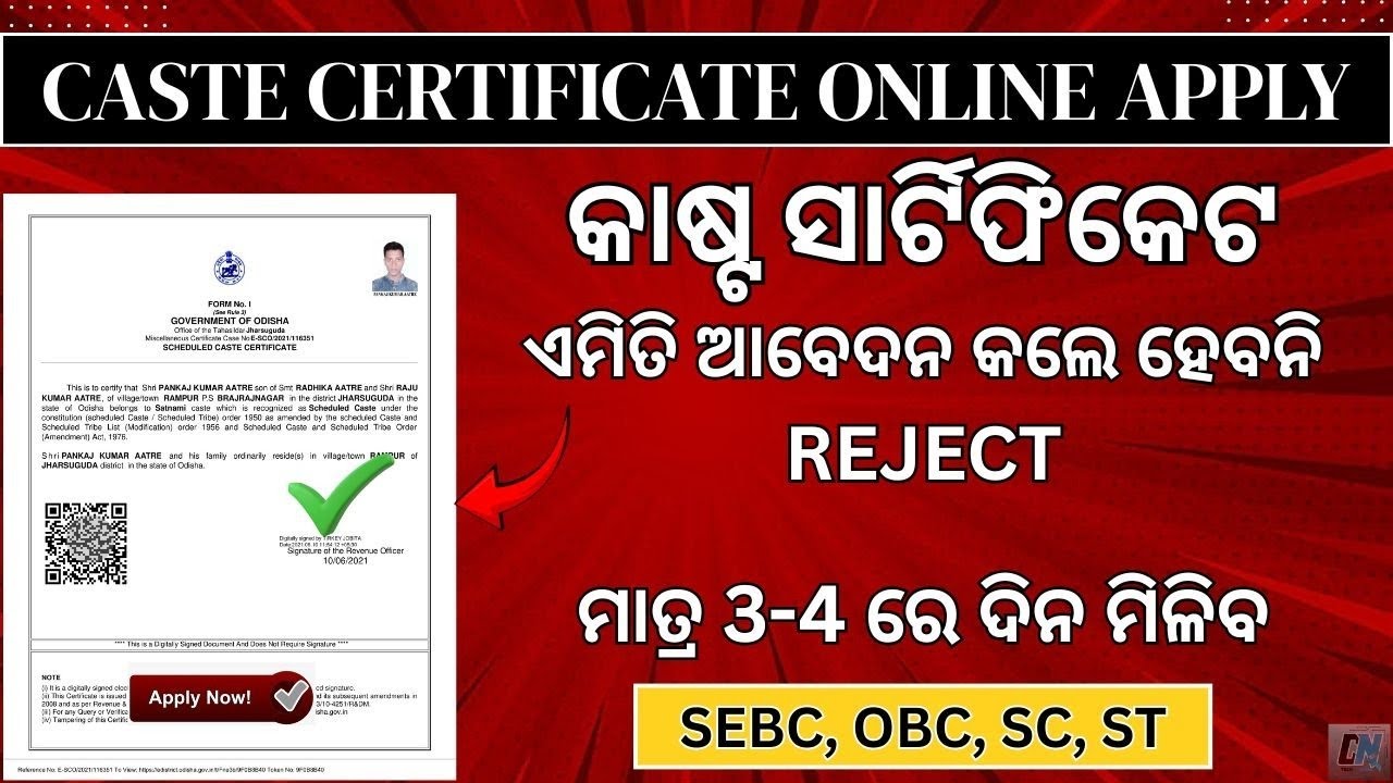 CASTE CERTIFICATE APPLY ONLINE || HOW TO APPLY CASTE CERTIFICATE ONLINE || ODIA || 2026-27