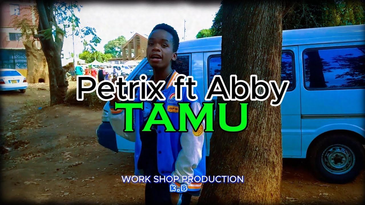 Petrix - TAMU ft Abby (visualizer video )