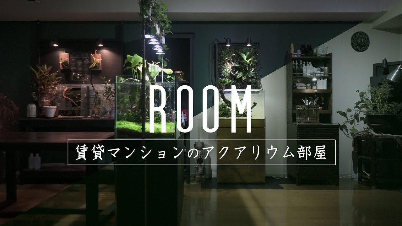 ［アクアリウムDIY］水草水槽のある部屋 / Aquarium room renovation and life