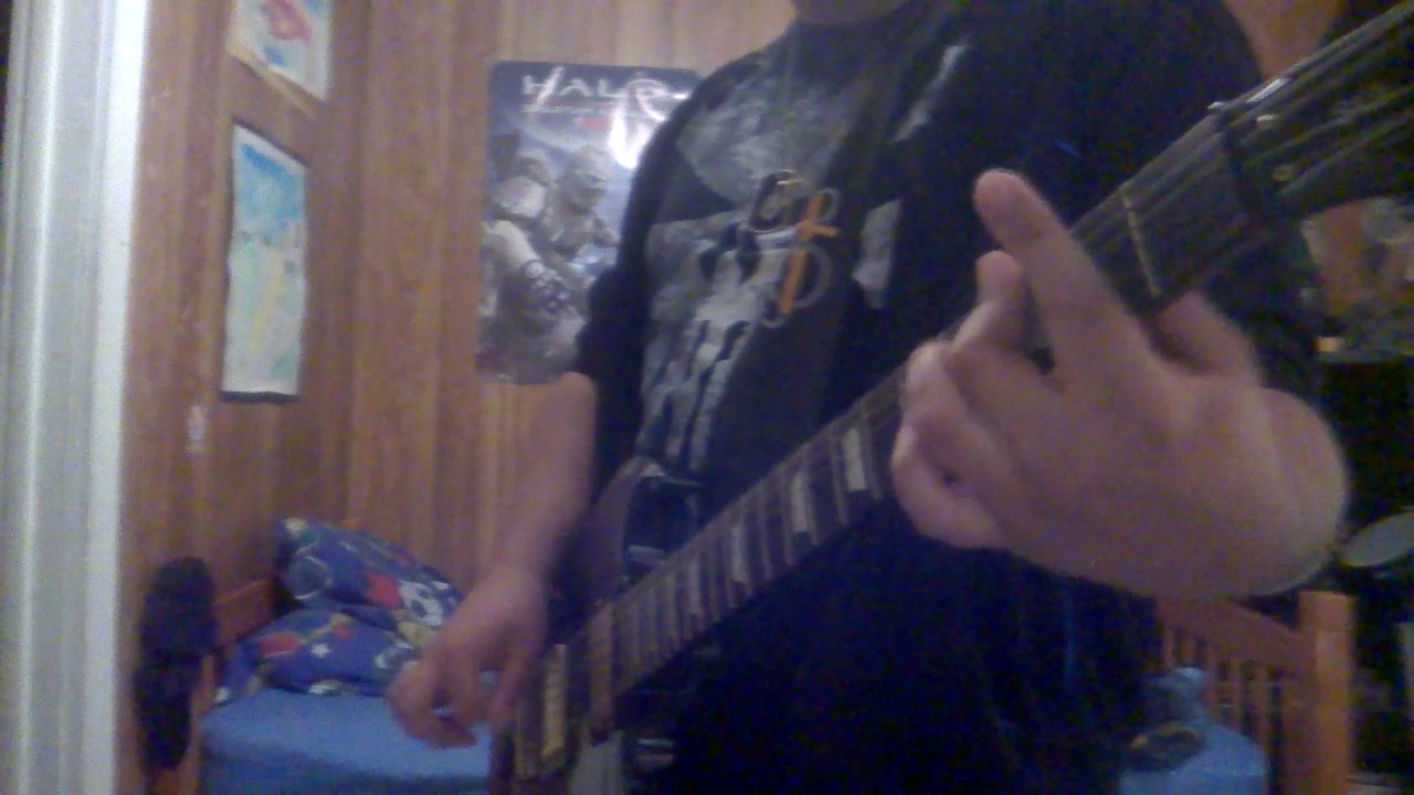Flaw- Endangered Species (Guitar Cover)