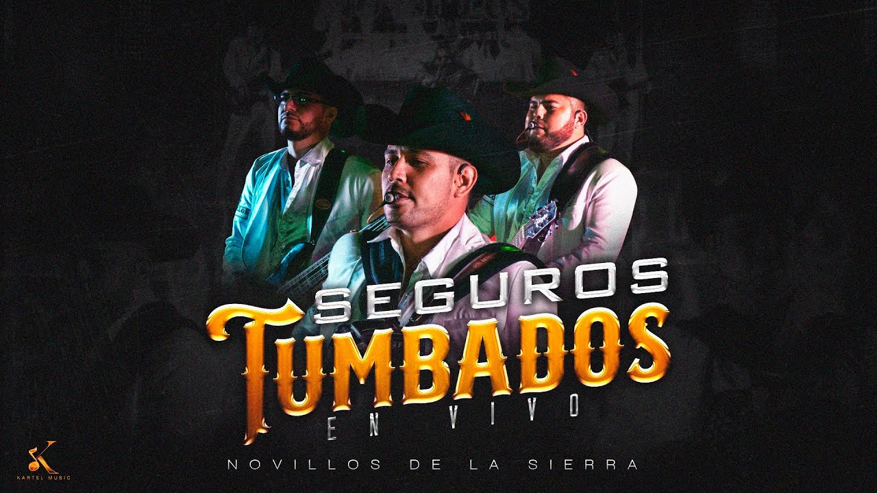 Novillos De La Sierra - Seguros Tumbados  [En Vivo 2023]