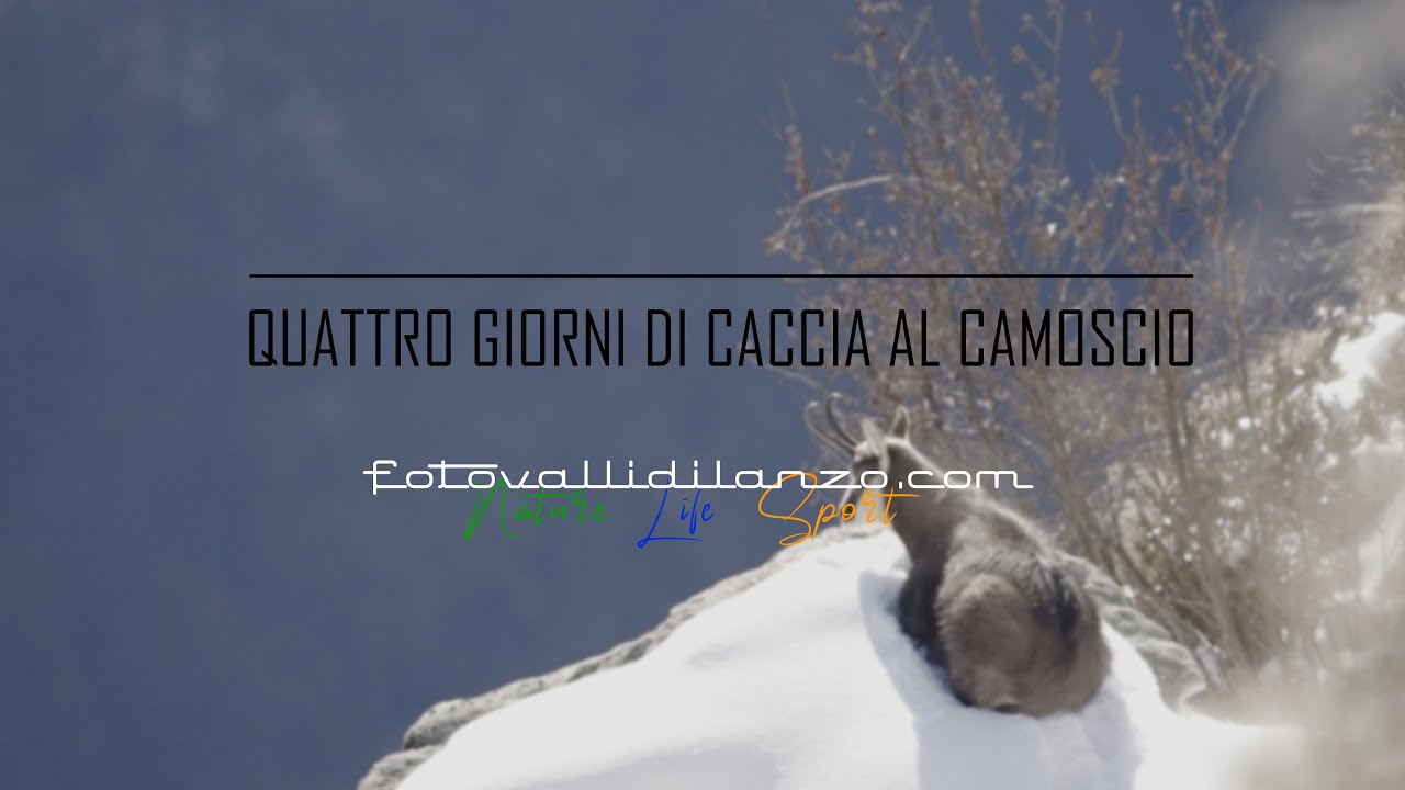 CACCIA AL CAMOSCIO