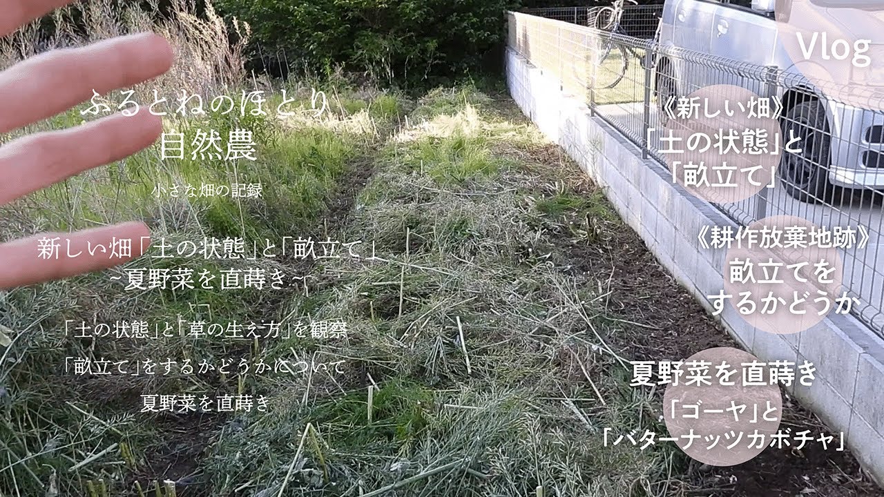 新しい畑「畝作り」と「土の状態」〜「ゴーヤ」と「バターナッツカボチャ」の直蒔き〜　2024年5月15日