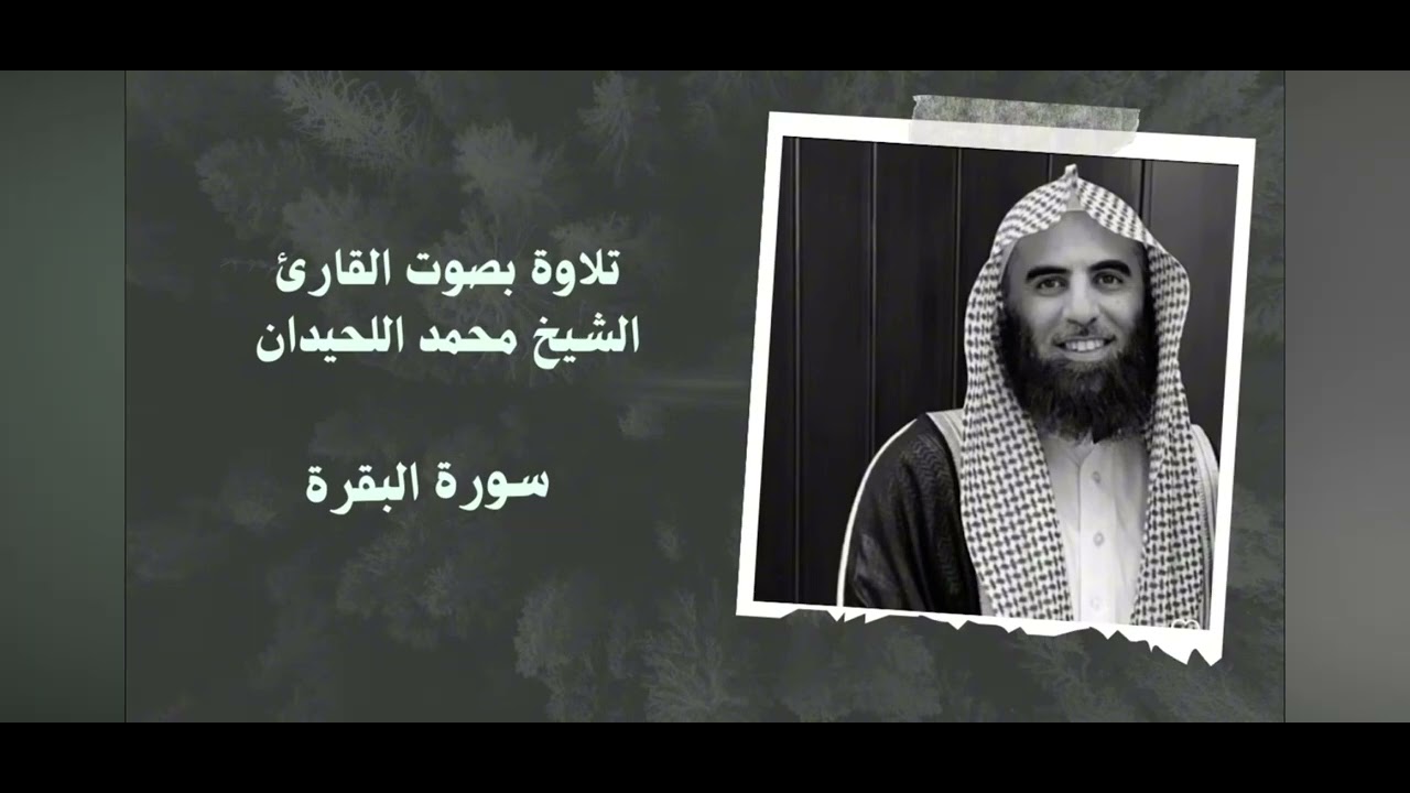 ١٥ ديسمبر، ٢٠٢٥