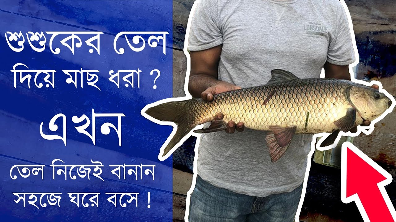 বড় মাছ ধরার গোপন অস্ত্র শুশুকের তেল বানানোর কৌশল  Amazing Ganges River Dolphin Oil Alternative