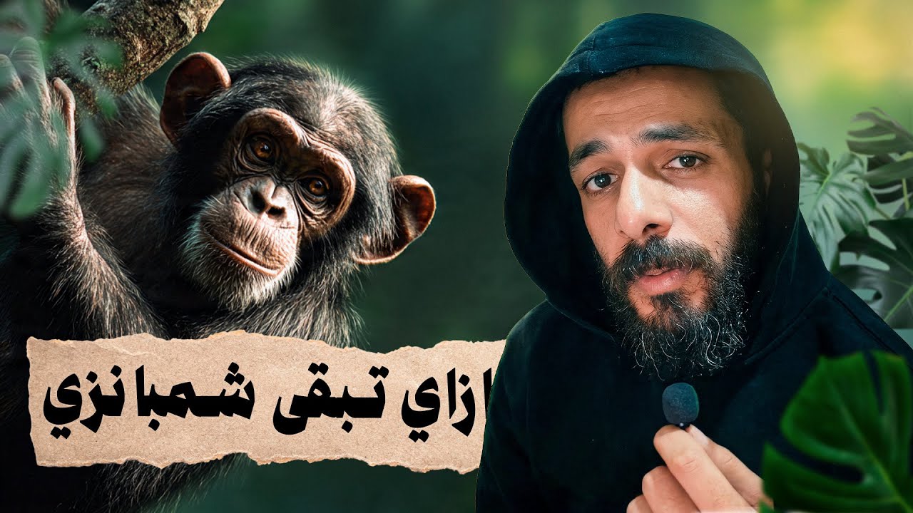 الحياة من وجهة نظر الشمبانزي