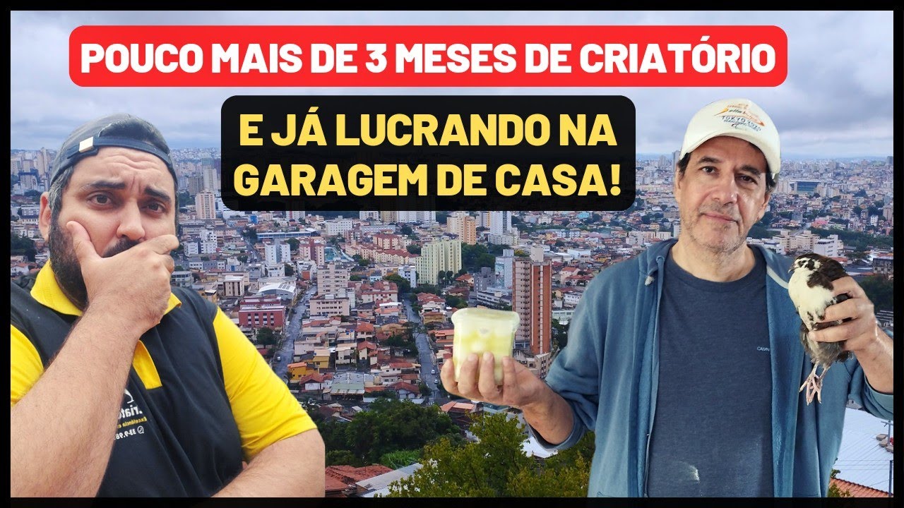 Ele montou um CRIATÓRIO DE CODORNAS na garagem de sua casa em uma das maiores capitais do Brasil.
