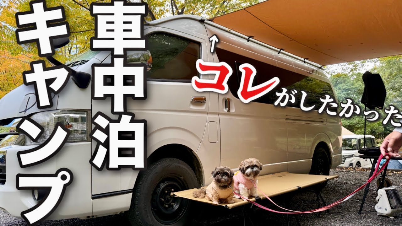 【犬連れ車中泊キャンプ】念願のカーサイドタープを張る！毛呂山町ゆずの里オートキャンプ場