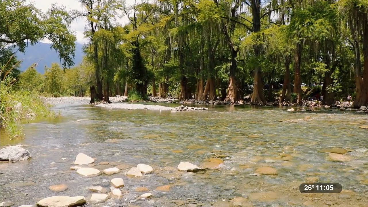 Visita al Río Ramos en Allende, Nuevo León | Reportajes de Alvarado