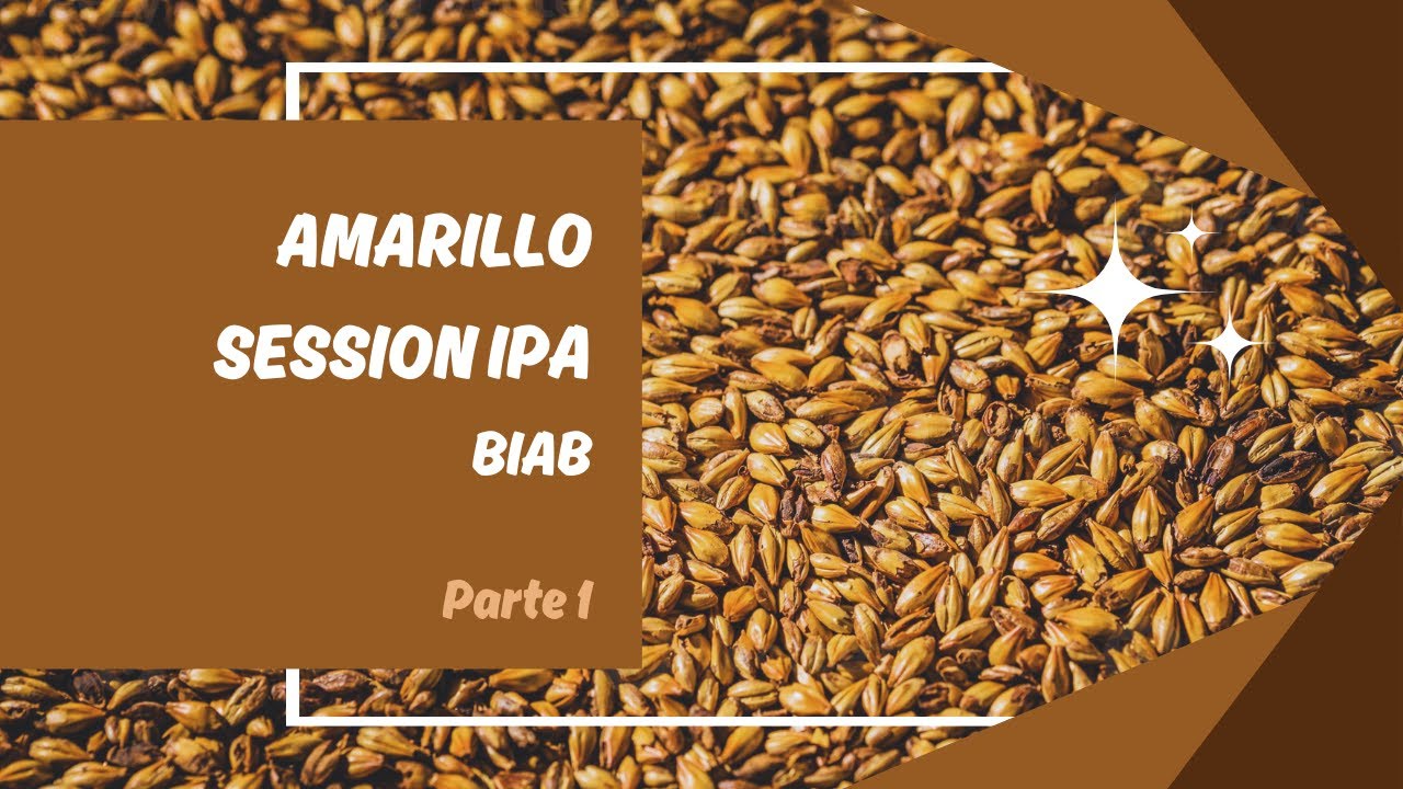 Amarillo Session IPA BIAB | Parte 1
