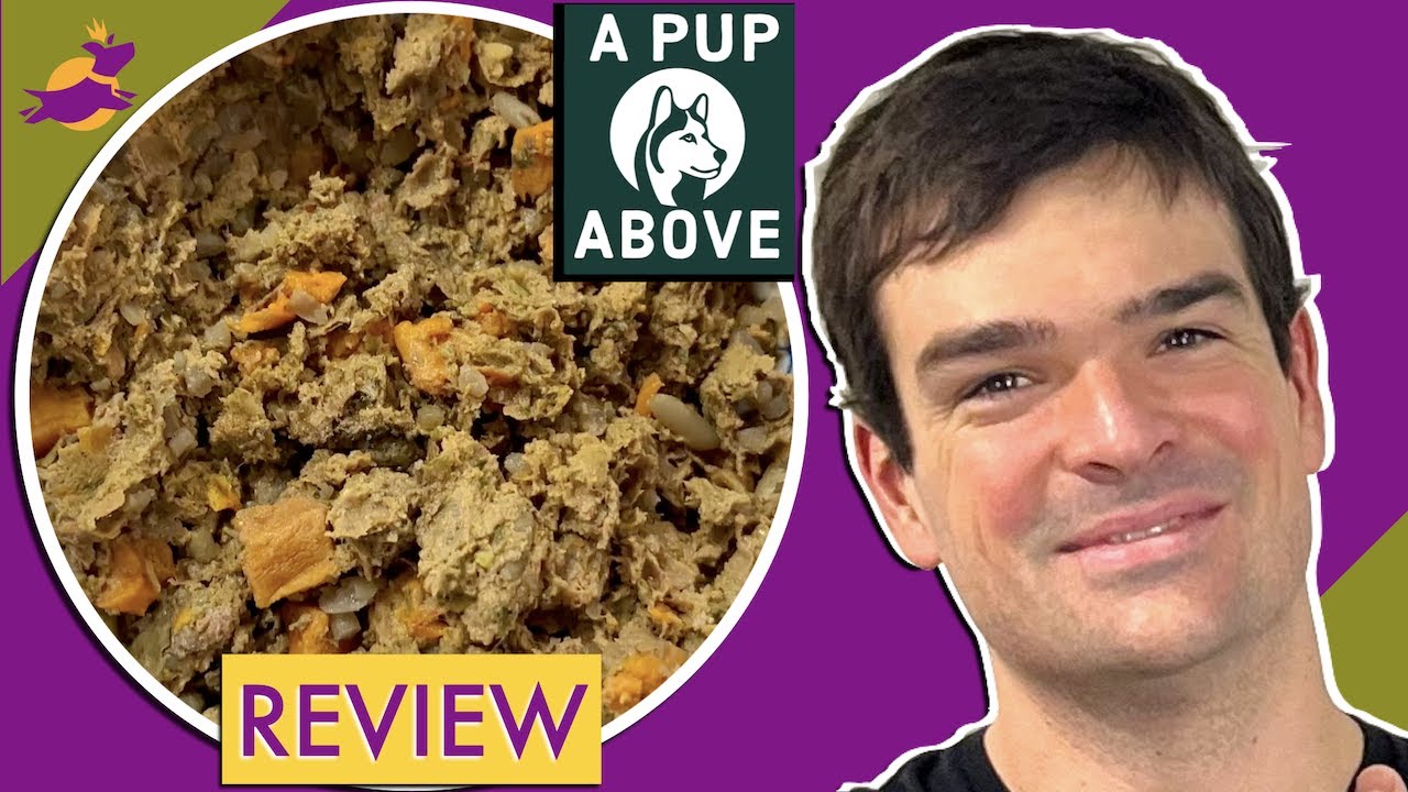 A Pup Above Review (I Eat This Fresh Dog Food... Is It Worth It?)